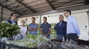 Κ. Μητσοτάκης: Θα στηρίξουμε τους παραγωγούς για να αντιμετωπίσουν τις επιπτώσεις της πανδημίας