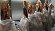 ΣΔΟΕ: Στο «φως» 7 τόνοι αλλοιωμένων κρεάτων που θα κατέληγαν σε νοσοκομεία, ΚΥΤ, στρατόπεδα