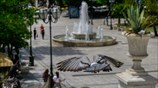 Ζέστη στην Αθήνα