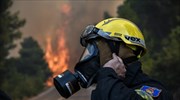 Βοιωτία: Δασική πυρκαγιά στο Κυριάκι