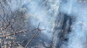 Πυρκαγιά στα Μέγαρα Αττικής