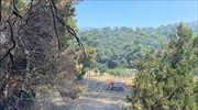 Υπό μερικό έλεγχο η πυρκαγιά στα Μέγαρα