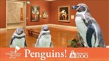 Penguins Visit Nelson-Atkins Ahead of Kansas City Zoo Opening
