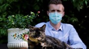 Γαλλία: Γάτα προσβλήθηκε και ανάρρωσε από τον κορωνοϊό