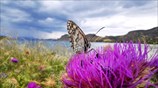 Άνοιξη στο Ναύπλιο