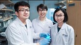 New stretchable, self-healing and illuminating electronic material for wearables and soft robots
