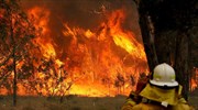 Πυρκαγιά σε δασική έκταση στο Αμάρι Ρεθύμνου