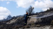 Υπό μερικό έλεγχο η πυρκαγιά στα Ψαρά