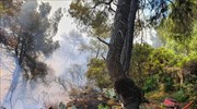 Μαίνεται η πυρκαγιά στο Άγιον Όρος