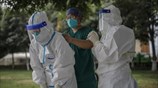 Οι φωτογραφίες της ημέρας