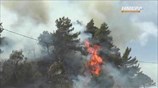 Ζάκυνθος: Φωτιά στο Αργάσι