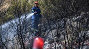 Οριοθετήθηκε η πυρκαγιά στην Κάρυστο Ευβοίας