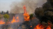 Πυρκαγιά στις Κεχριές Κορινθίας - Εκκενώθηκε κατασκήνωση