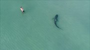 Αυστραλία: 17χρονος σέρφερ το πέμπτο θύμα φέτος από επίθεση καρχαρία
