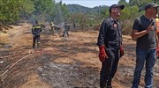 Πυρκαγιά στο Τσουκαλιό Κέρκυρας