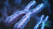 Νέα εποχή στη γονιδιωματική έρευνα: Πλήρης αλληλούχιση του ανθρώπινου χρωμοσώματος Χ