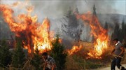 Επανεξετάζονται οι υποθέσεις για τις φωτιές σε Κύθηρα και Μάνη μετά τις καταγγελίες Λιότσιου