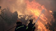 Συνεχίζεται η μάχη με τις φλόγες στις Κεχριές - Υπό μερικό έλεγχο η φωτιά στη Δαμνόνι