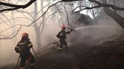 Κόρινθος: Σε ύφεση η πυρκαγιά στις Κεχριές