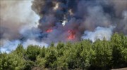 Ποιες περιοχές κινδυνεύουν με φωτιά