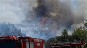 Υπό μερικό έλεγχο η πυρκαγιά στο Πόρτο Γερμενό