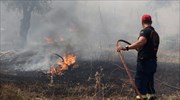 Κρήτη: Δασική πυρκαγιά στον Άγιο Νικόλαο