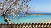 Μακροβούτια στις ωραιότερες παραλίες της Κύπρου