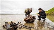 Λείψανα μαμούθ εντοπίστηκαν σε λίμνη στη Σιβηρία
