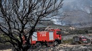Σε ύφεση η φωτιά στην περιοχή Κάντια του Ναυπλίου