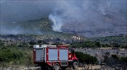 Τζια: Πυρκαγιά σε χορτολιβαδική έκταση στις Πήσσες