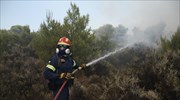 Πυρκαγιές σε Αίγινα, Κεφαλονιά - Υπό μερικό έλεγχο στη Τζιά