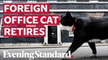 Palmerston the Foreign Office cat retires from Chief Mouser duties