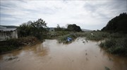 Λαγκαδάς: Μεγάλες οι ζημιές για αγρότες και κτηνοτρόφους από την κακοκαιρία