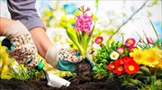 H κηπουρική είναι ένα σπουδαίο «φάρμακο» κατά της κατάθλιψης