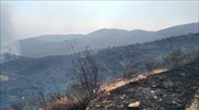 Χανιά: Σε ύφεση η φωτιά στο δήμο Κανδάνου – Σελίνου