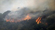 Πυροσβεστική: Σύλληψη ενός ατόμου για εμπρησμό από αμέλεια στον Άγιο Νικόλαο Κρήτης