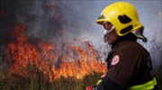 Βραζιλία: Πυρκαγιές σε υδροβιότοπο απειλούν υπό εξαφάνιση παπαγάλους