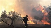 Λακωνία: Πυρκαγιά σε αγροτοδασική έκταση στην Πελλάνα