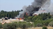 Θεσσαλονίκη: Φωτιά στην Αμερικανική Γεωργική Σχολή