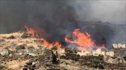 Φωτιά σε δασική έκταση στην Άνδρο