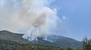 Πάτρα: Ενίσχυση των δυνάμεων στην φωτιά που ξέσπασε στην Άνω Καλλιθέα Αχαΐας