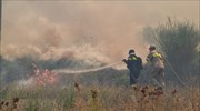 Σε εξέλιξη βρίσκεται πυρκαγιά σε δασική έκταση στη Λαμία