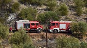 Μυκήνες: Ενισχύθηκαν οι πυροσβεστικές δυνάμεις