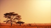 12 πράγματα που δεν γνωρίζατε για την Αφρική