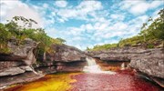 Caño Cristales: το χρωματιστό ποτάμι της Κολομβίας