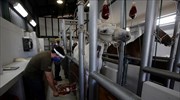 Κόστα Ρίκα-Covid19: Κλινικές δοκιμές για θεραπεία βασισμένη σε αντισώματα αλόγων