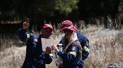 Πυρκαγιά στα Καλύβια Αττικής- Διακοπή κυκλοφορίας στη λεωφ. Αναβύσσου