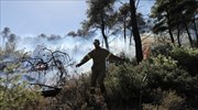 Πυρκαγιές σε Καλύβια και Νέα Μάκρη