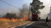 Διακοπές κυκλοφορίας στη Ραφήνα λόγω της πυρκαγιάς
