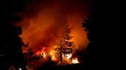 Καλιφόρνια: Τουλάχιστον 15 νεκροί από τις πυρκαγιές